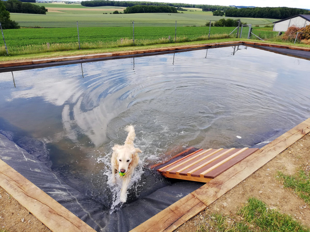 Vakantie Belgie - Gîtes in de Ardennen van - Vakantie in Maffe